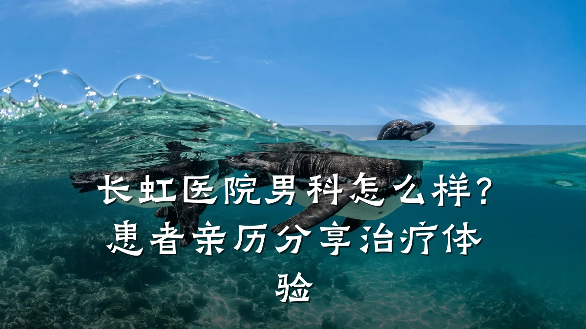 长虹医院男科怎么样?患者亲历分享治疗体验