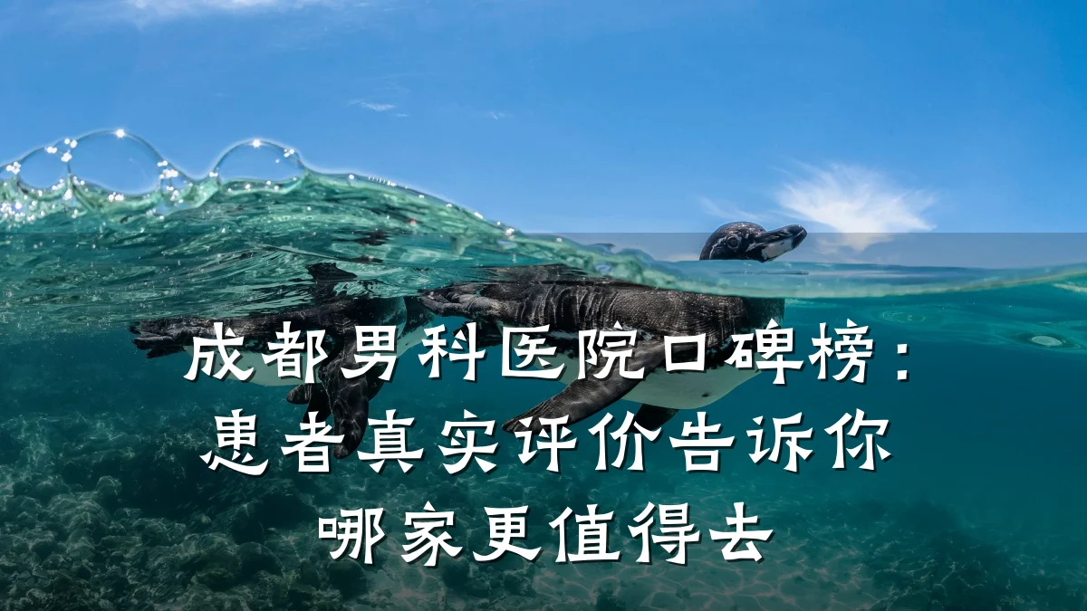 成都男科医院口碑榜:患者真实评价告诉你哪家更值得去
