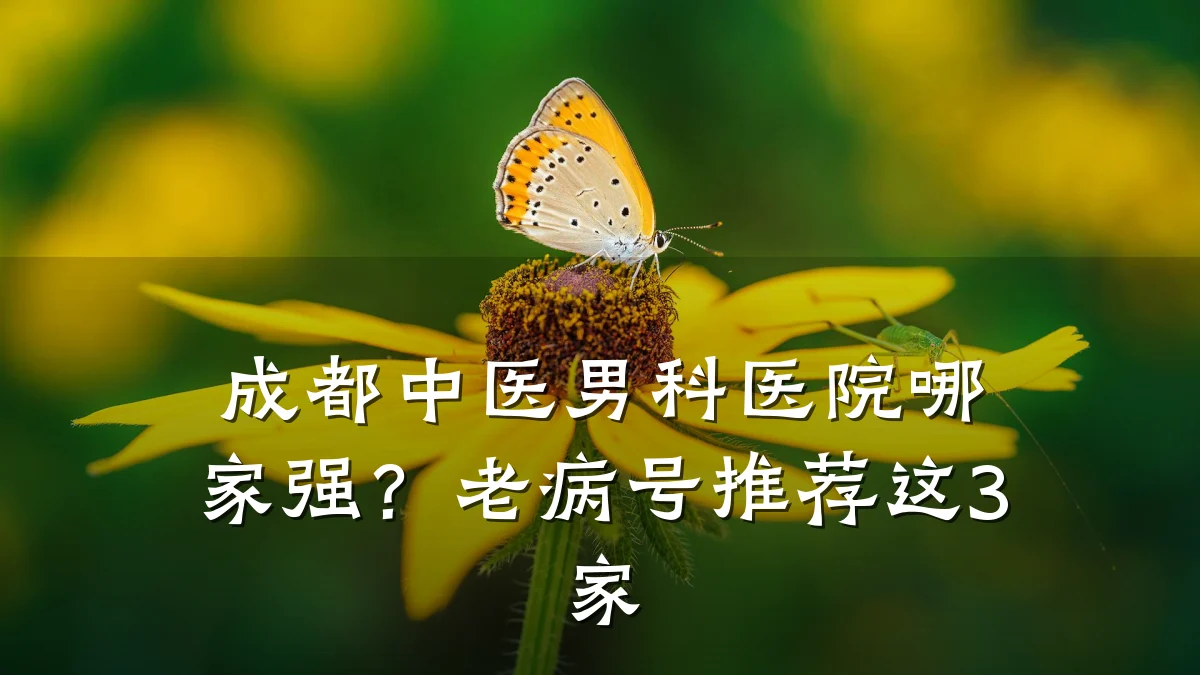 成都中医男科医院哪家强?老病号推荐这3家