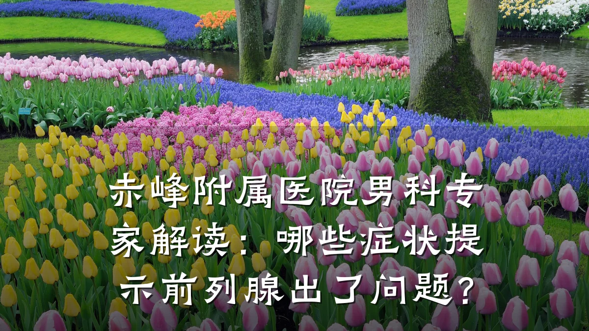 赤峰附属医院男科专家解读:哪些症状提示前列腺出了问题?