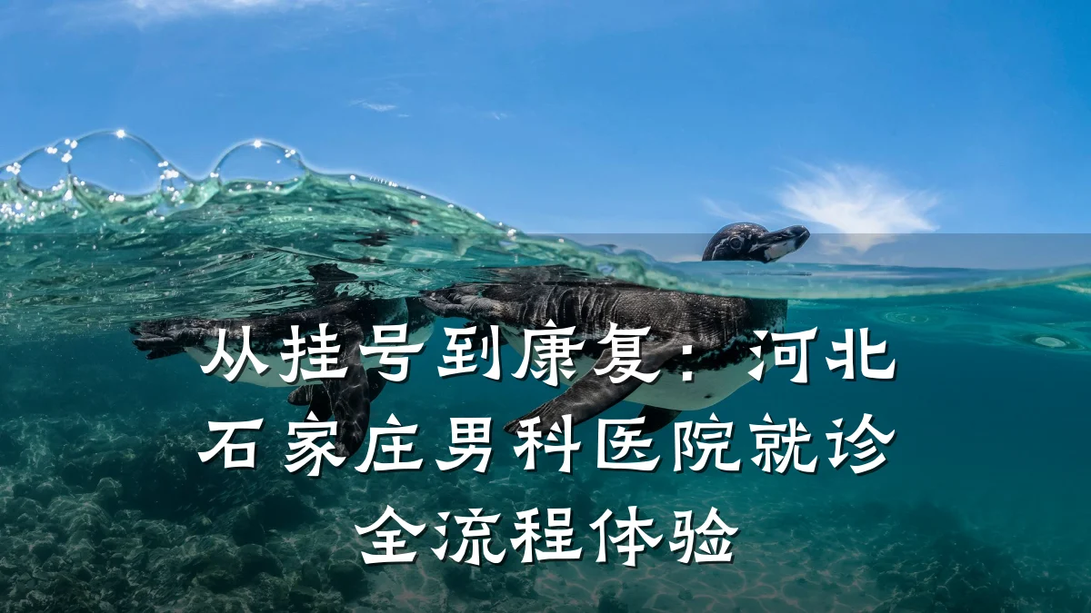 从挂号到康复:河北石家庄男科医院就诊全流程体验