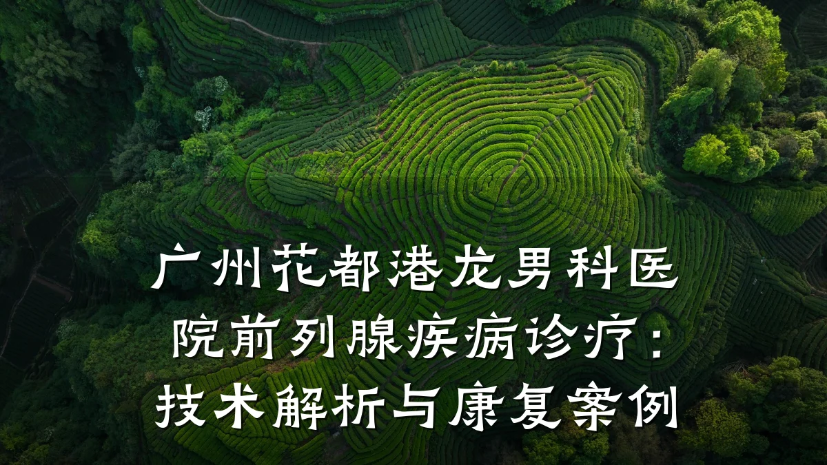 广州花都港龙男科医院前列腺疾病诊疗:技术解析与康复案例