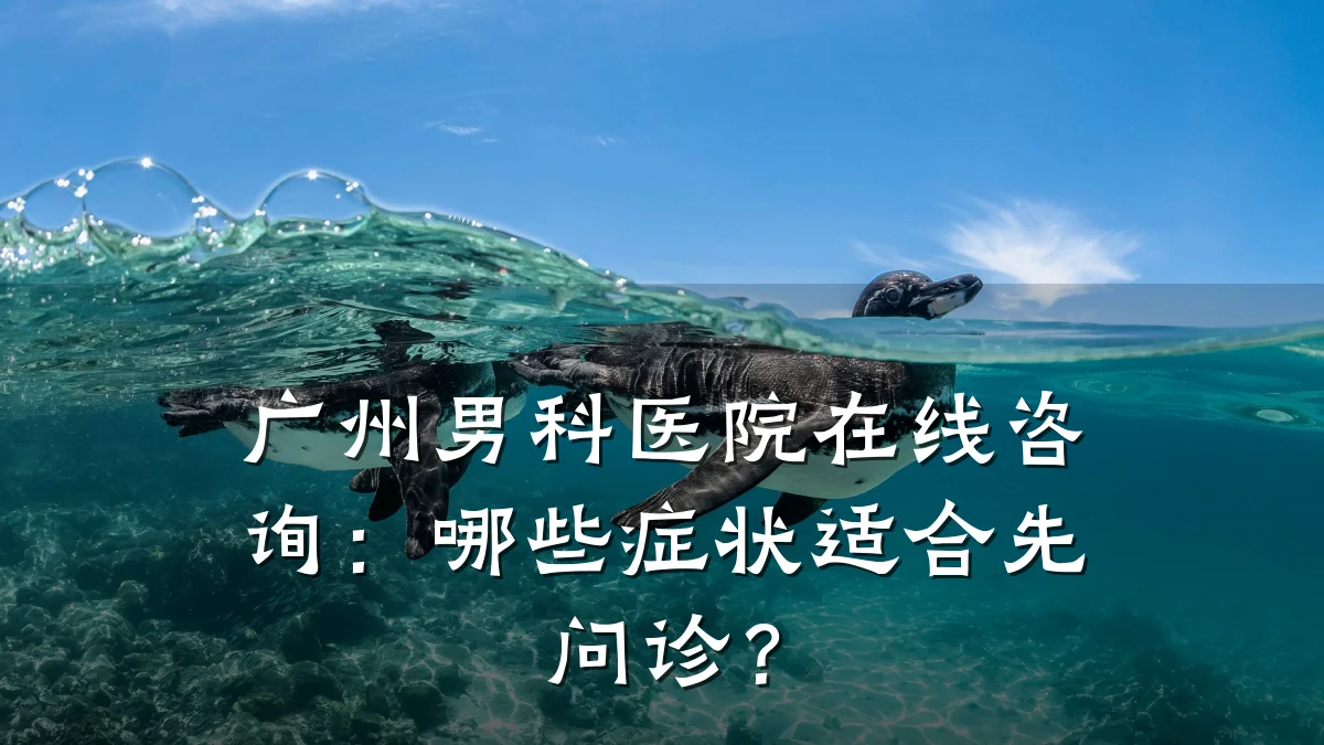 广州男科医院在线咨询:哪些症状适合先问诊?