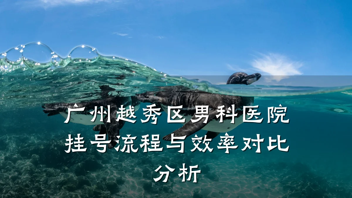 广州越秀区男科医院挂号流程与效率对比分析