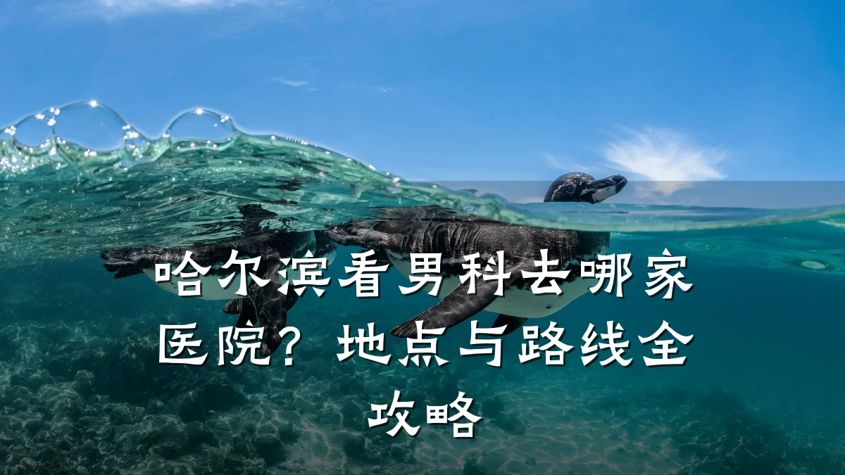 哈尔滨看男科去哪家医院?地点与路线全攻略