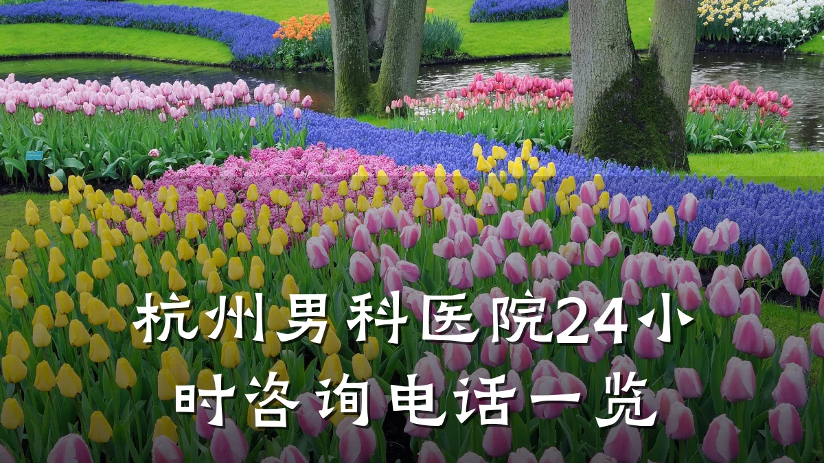 杭州男科医院24小时咨询电话一览