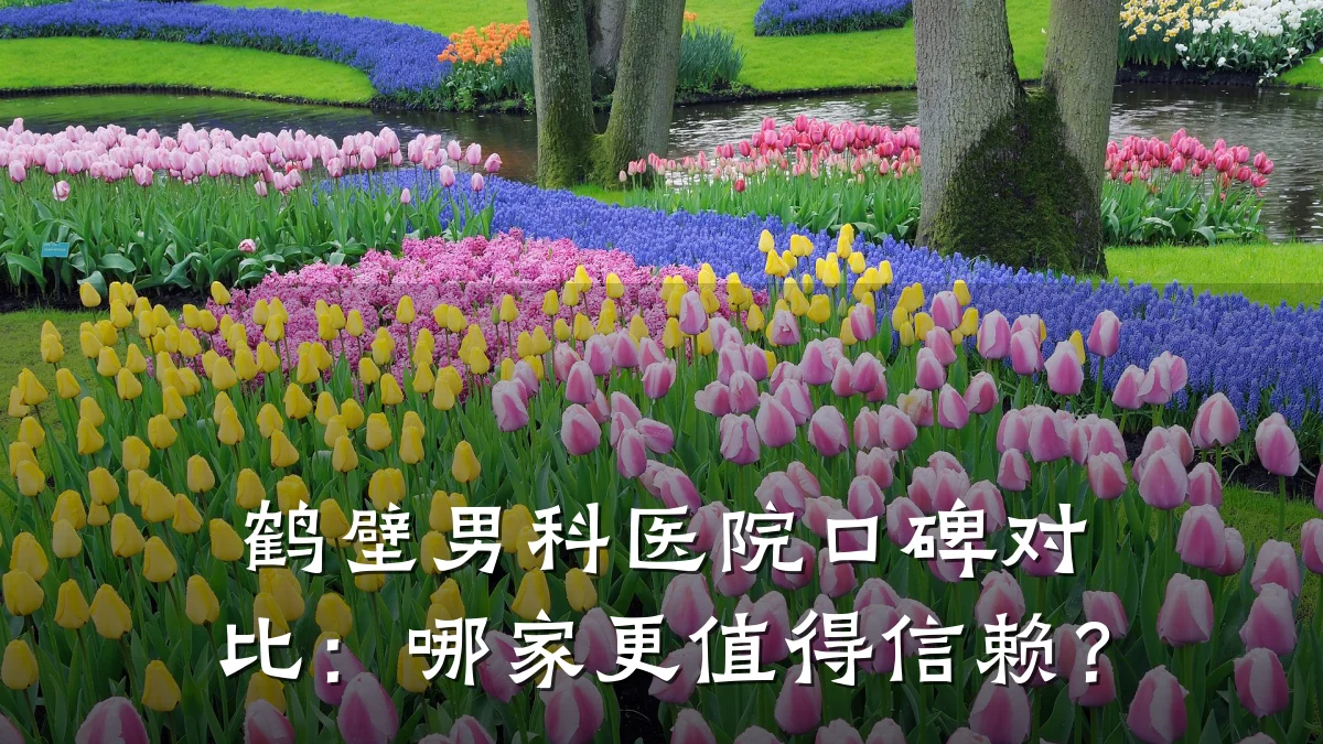 鹤壁男科医院口碑对比:哪家更值得信赖?