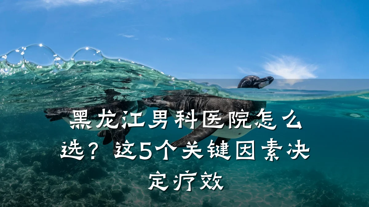 黑龙江男科医院怎么选?这5个关键因素决定疗效