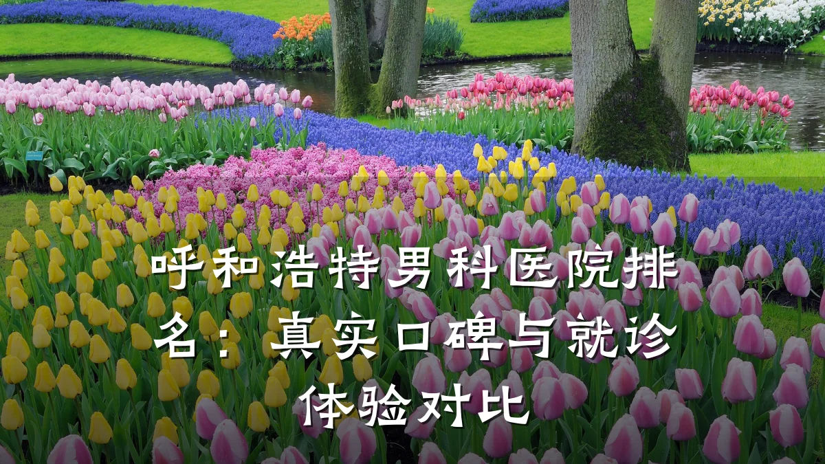 呼和浩特男科医院排名:真实口碑与就诊体验对比