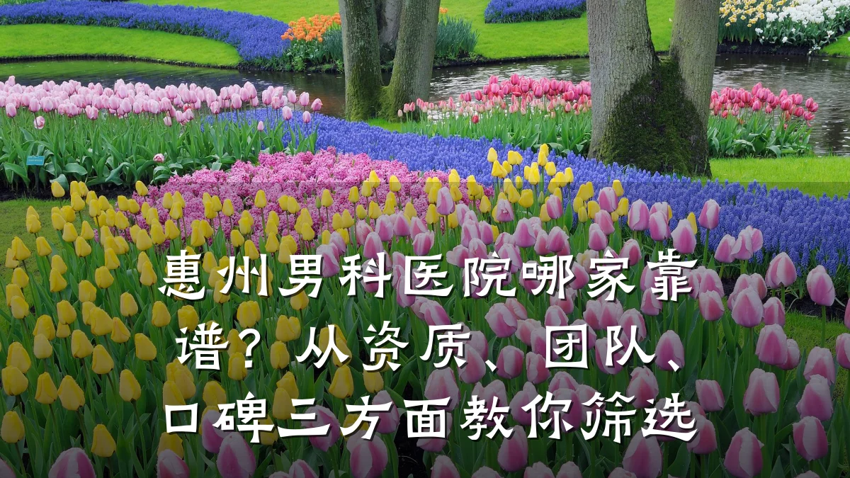 惠州男科医院哪家靠谱?从资质、团队、口碑三方面教你筛选