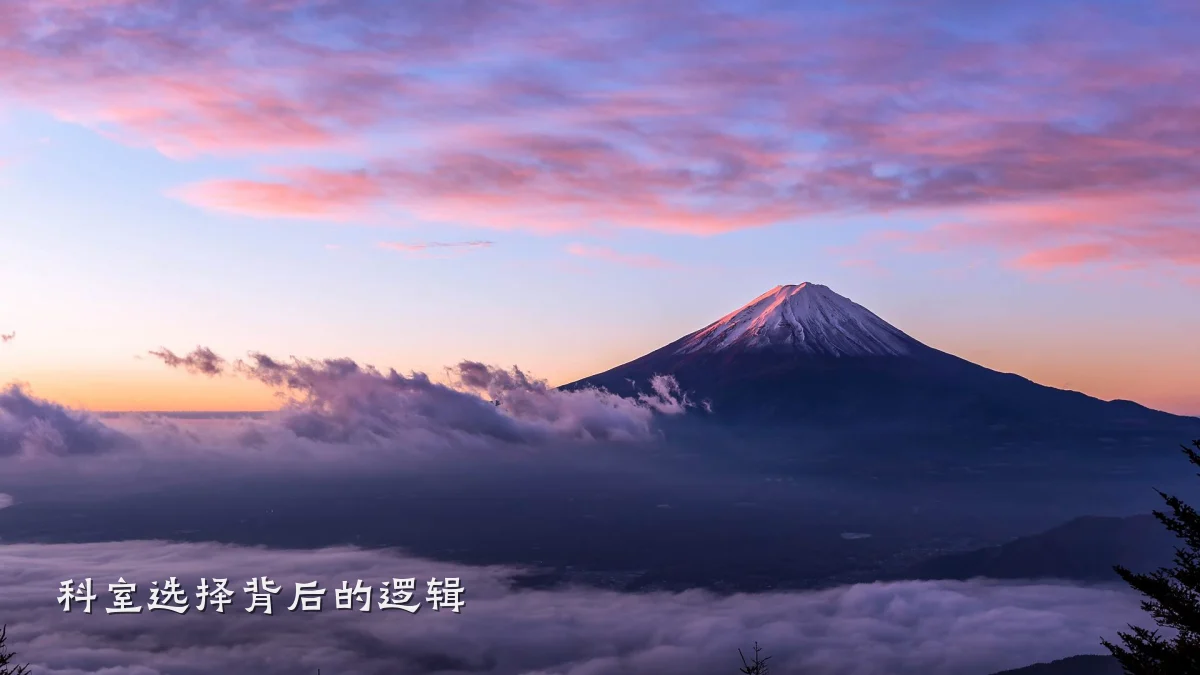 科室选择背后的逻辑