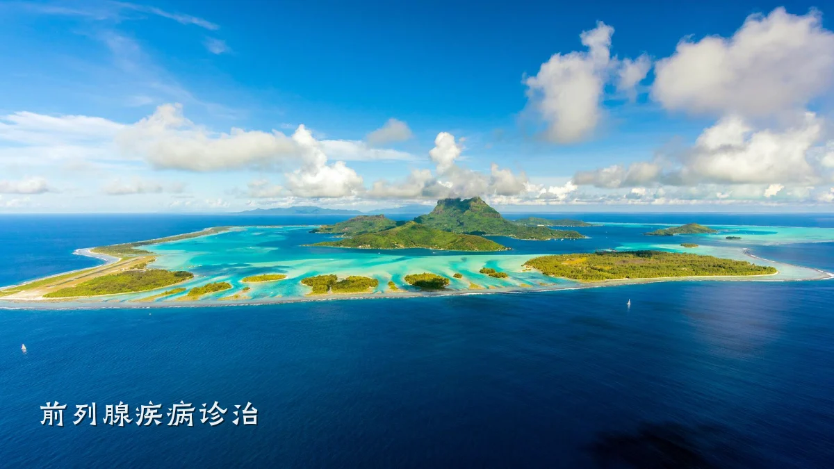 前列腺疾病诊治