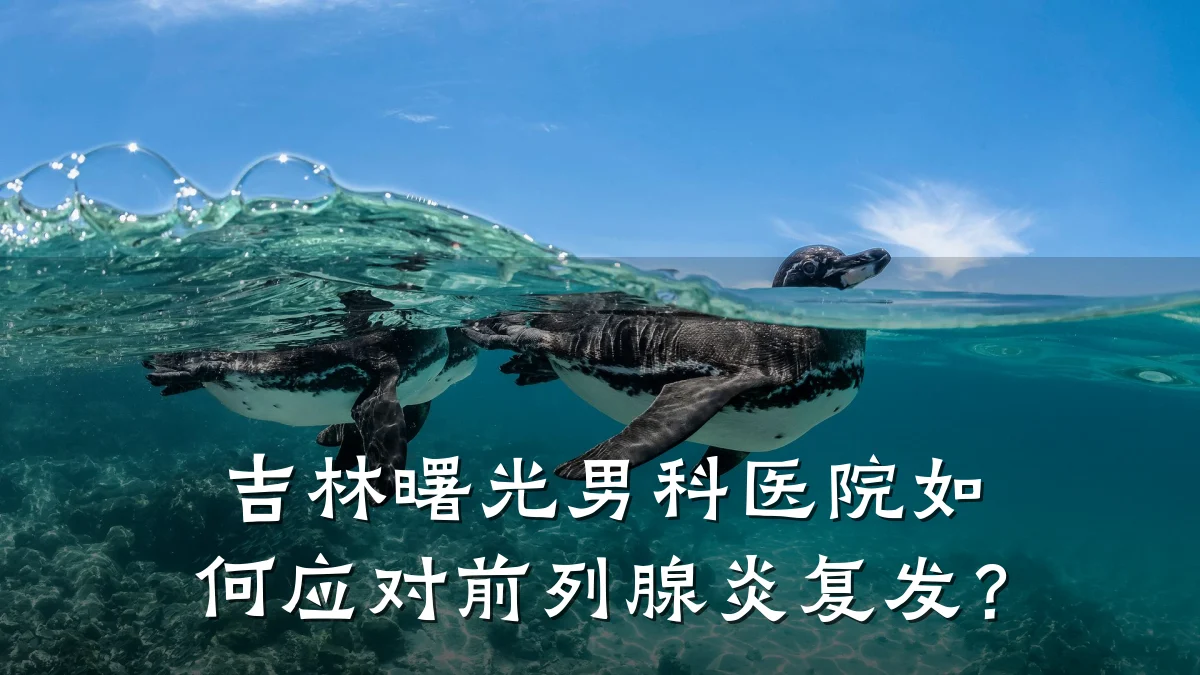 吉林曙光男科医院如何应对前列腺炎复发?