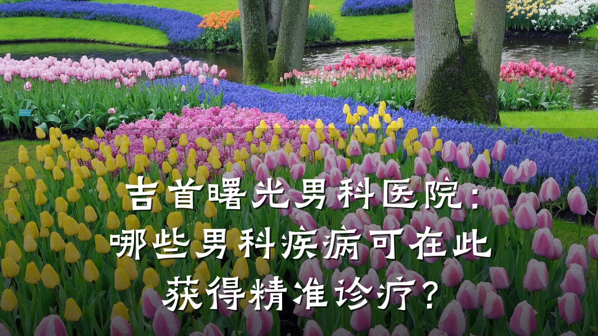 吉首曙光男科医院:哪些男科疾病可在此获得精准诊疗?