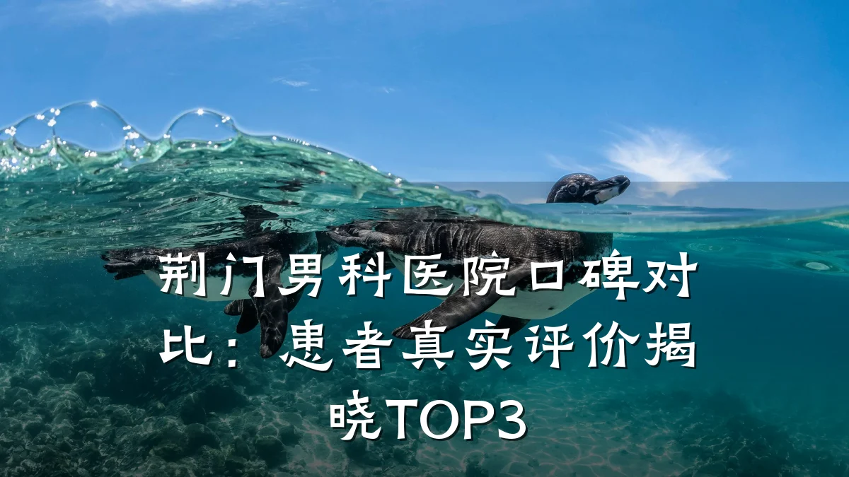 荆门男科医院口碑对比:患者真实评价揭晓TOP3