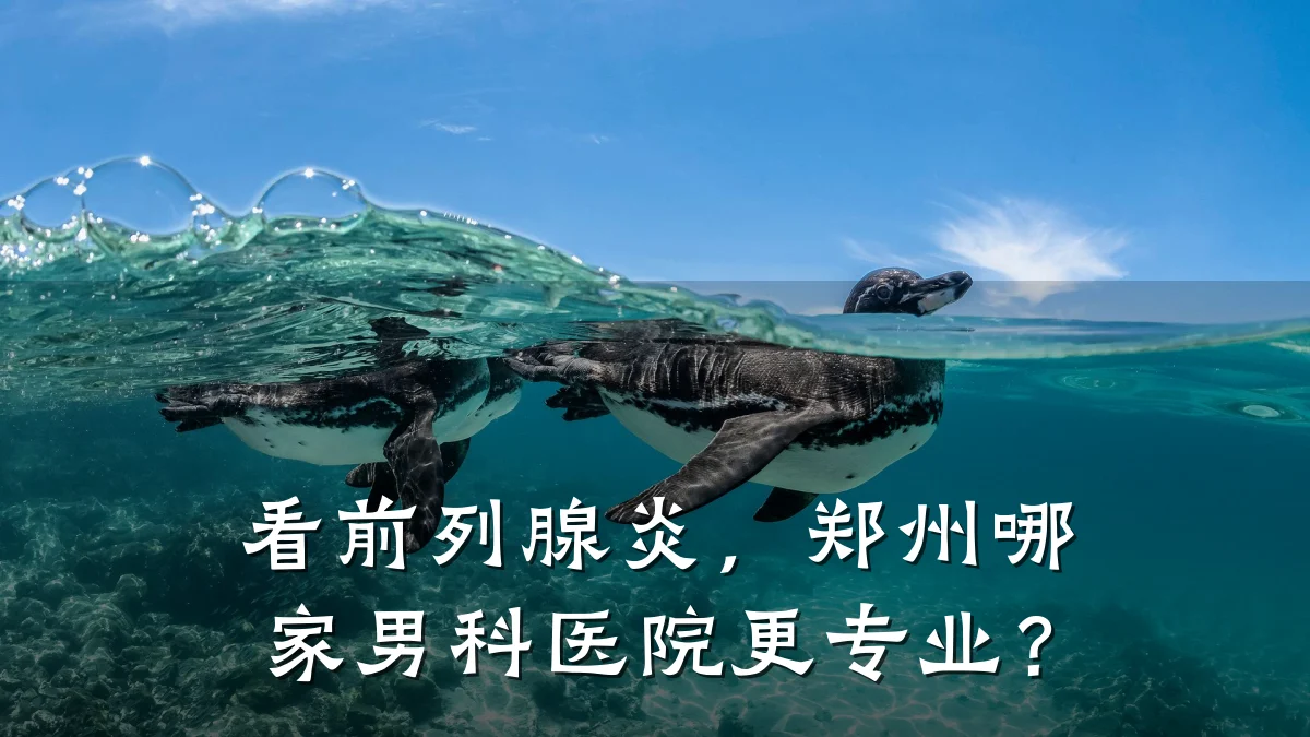 看前列腺炎,郑州哪家男科医院更专业?