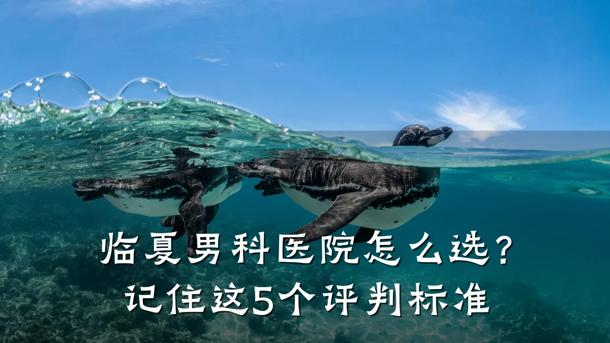临夏男科医院怎么选?记住这5个评判标准