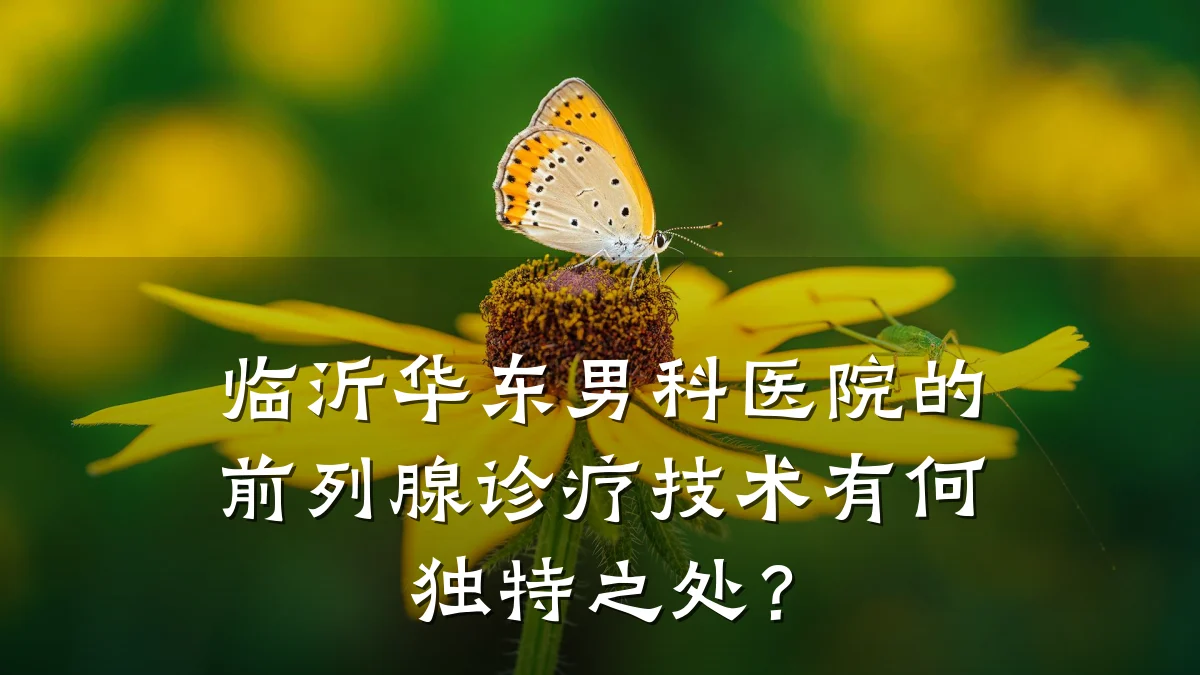临沂华东男科医院的前列腺诊疗技术有何独特之处?