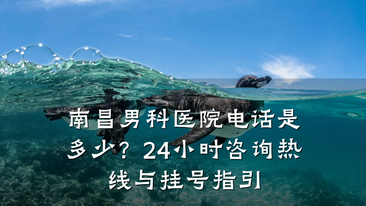 南昌男科医院电话是多少?24小时咨询热线与挂号指引