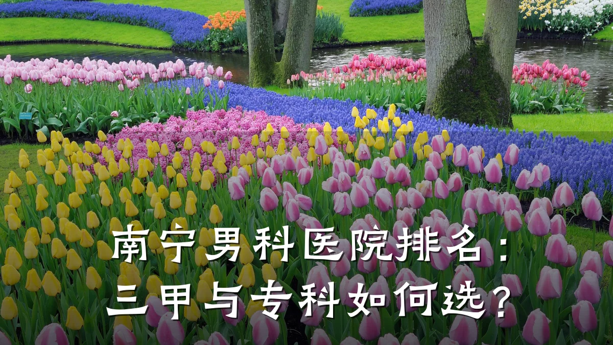 南宁男科医院排名:三甲与专科如何选?