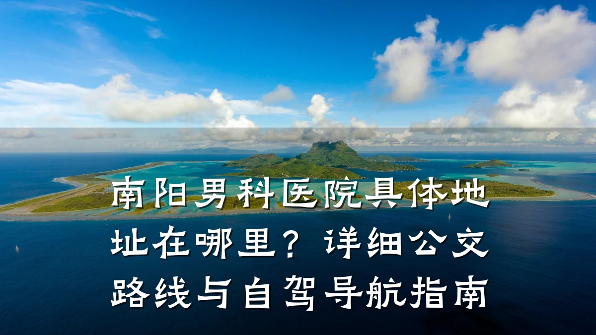 南阳男科医院具体地址在哪里?详细公交路线与自驾导航指南