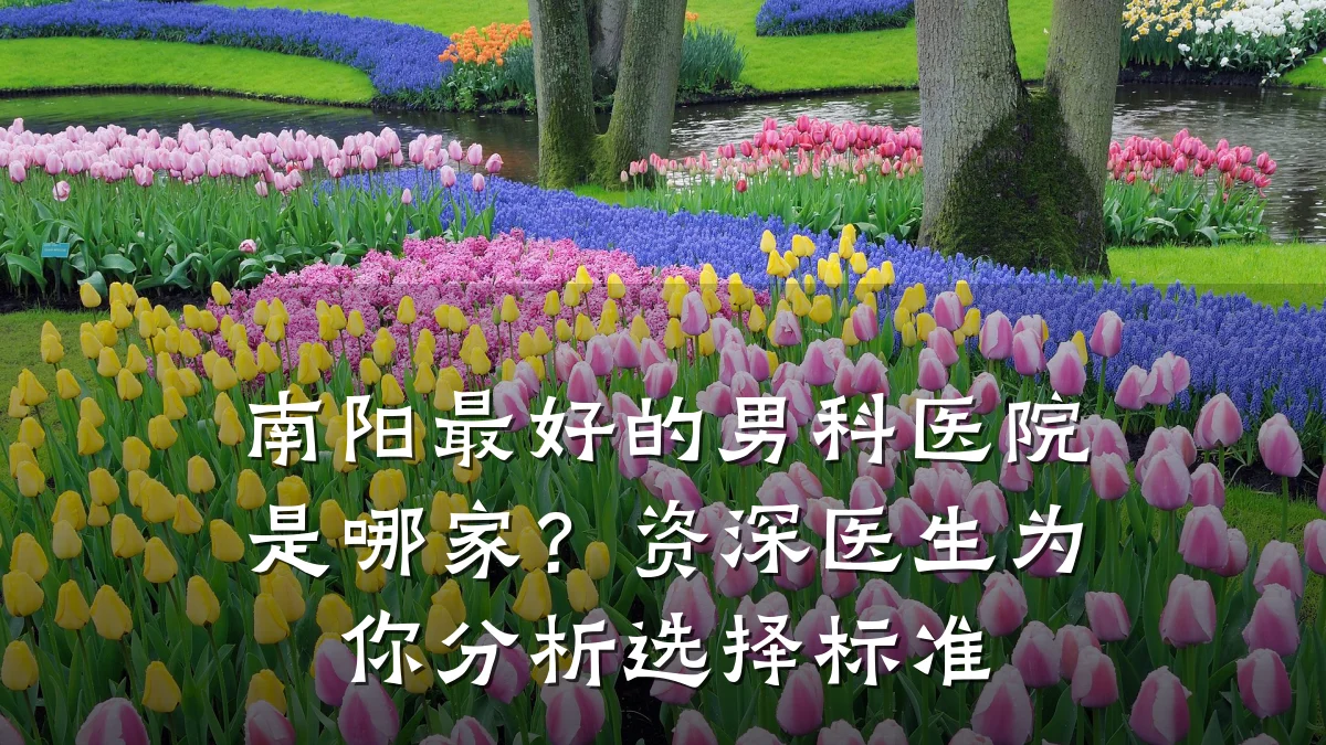 南阳最好的男科医院是哪家?资深医生为你分析选择标准