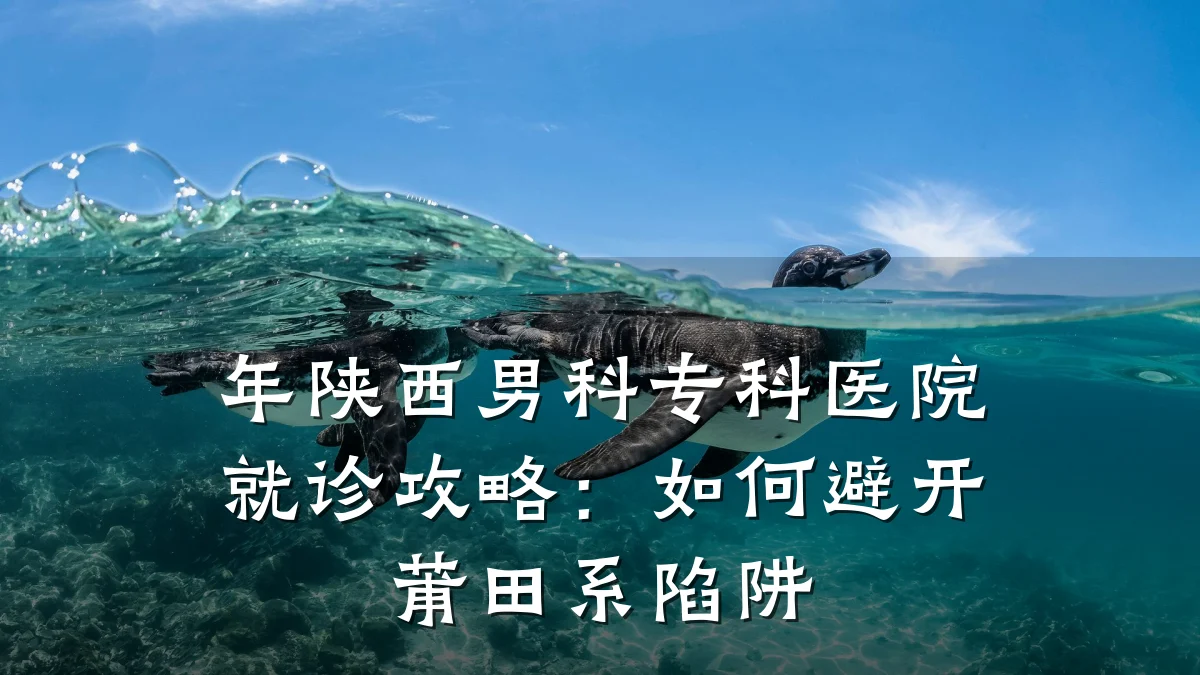 年陕西男科专科医院就诊攻略:如何避开莆田系陷阱
