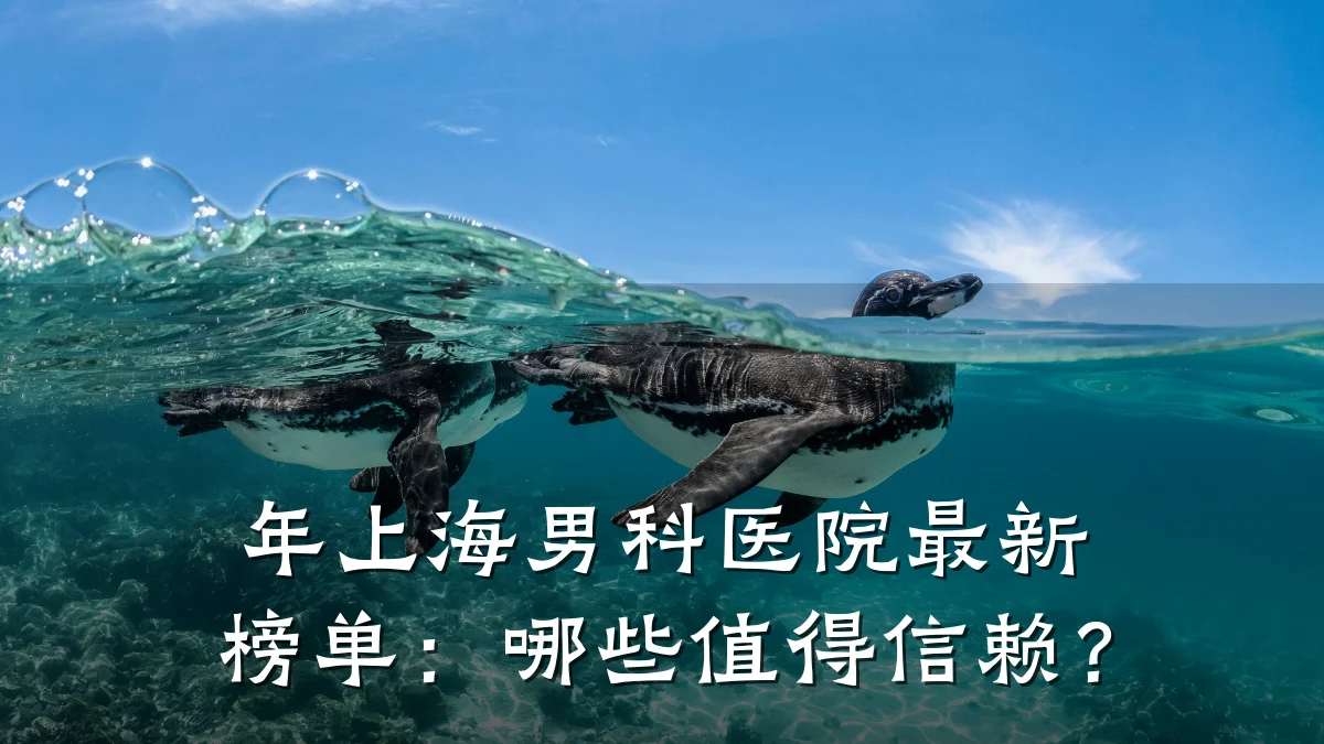 年上海男科医院最新榜单:哪些值得信赖?
