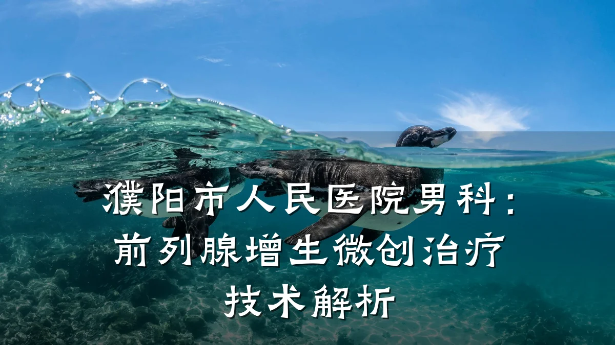 濮阳市人民医院男科:前列腺增生微创治疗技术解析