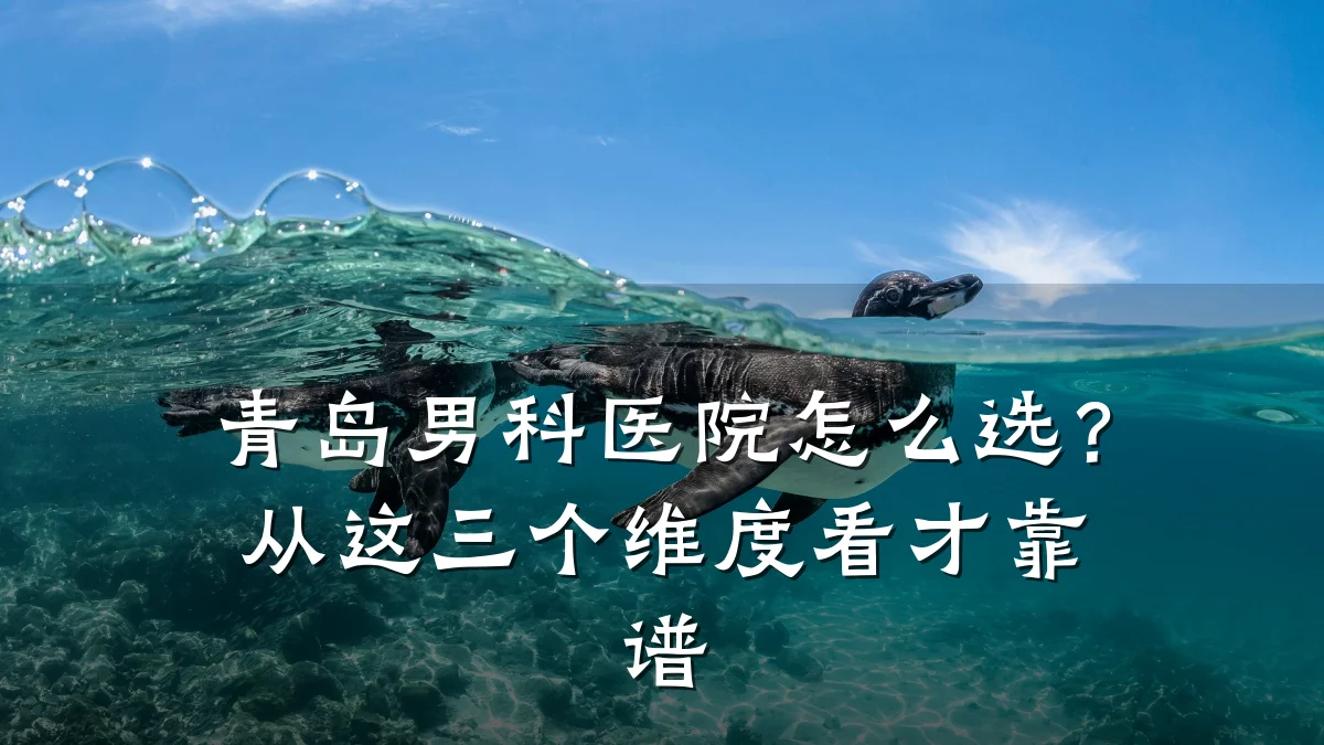 青岛男科医院怎么选?从这三个维度看才靠谱