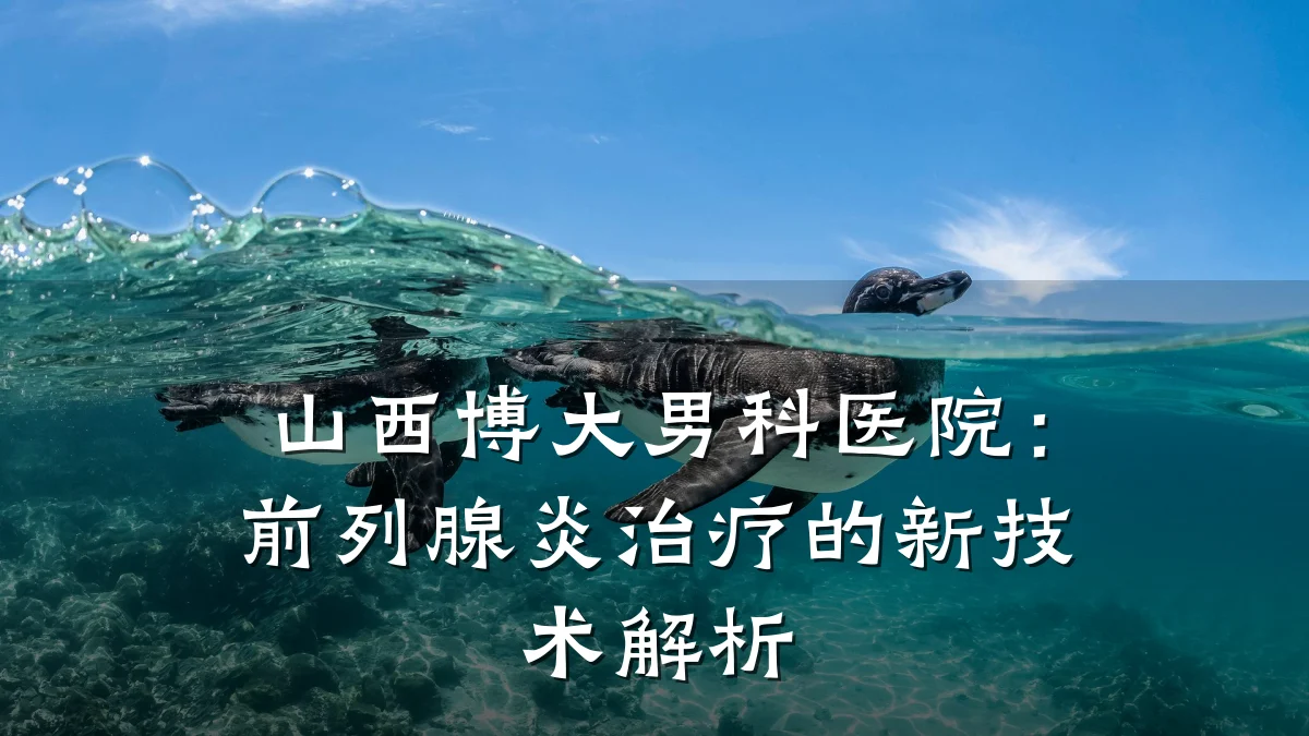 山西博大男科医院:前列腺炎治疗的新技术解析