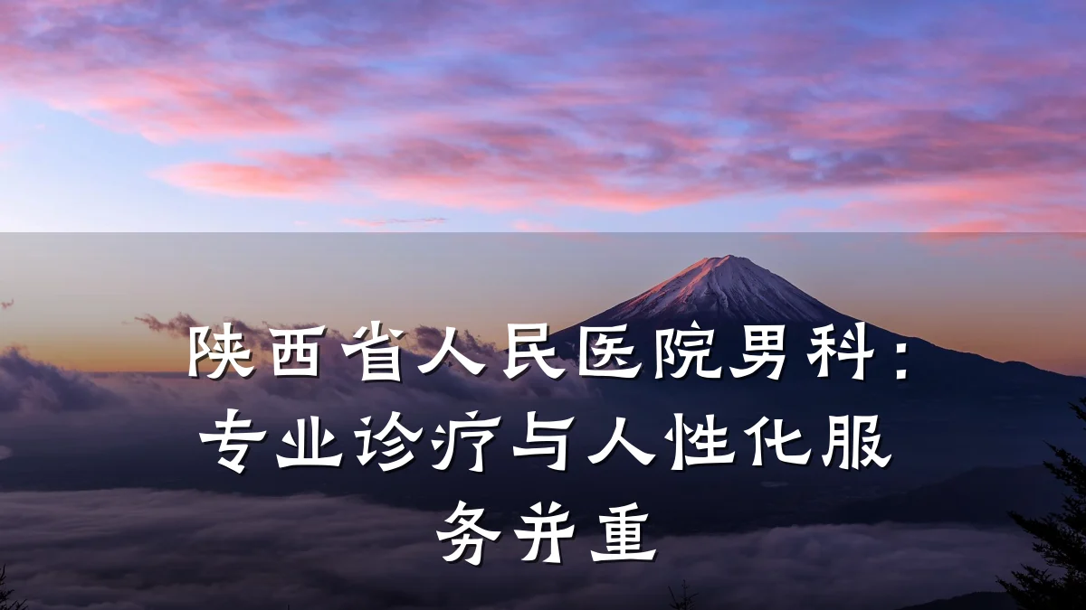 陕西省人民医院男科:专业诊疗与人性化服务并重