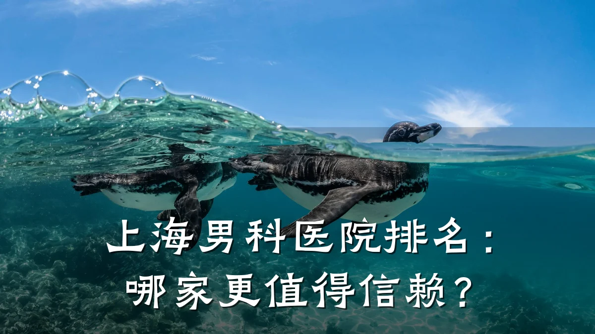上海男科医院排名:哪家更值得信赖?