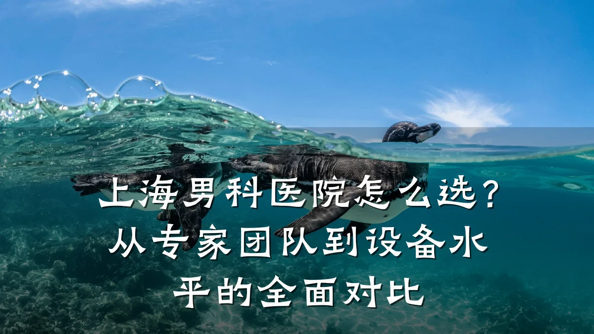 上海男科医院怎么选?从专家团队到设备水平的全面对比