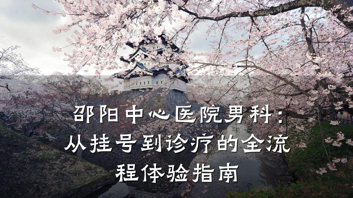 邵阳中心医院男科:从挂号到诊疗的全流程体验指南