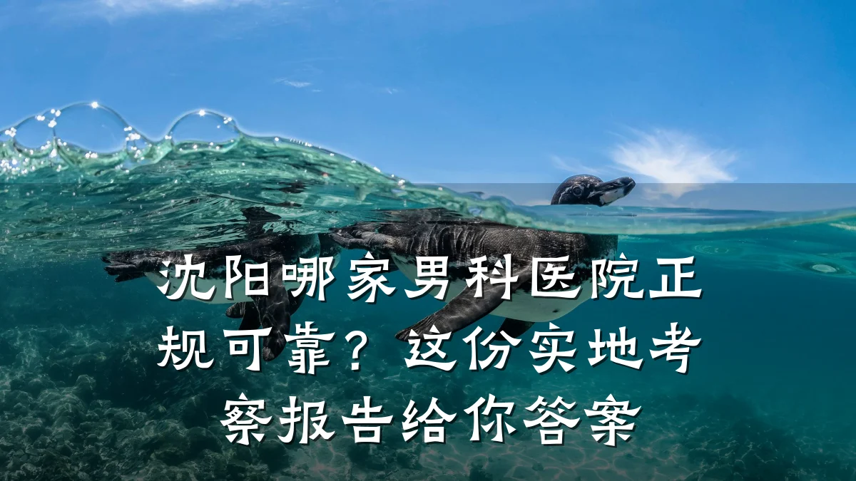 沈阳哪家男科医院正规可靠?这份实地考察报告给你答案
