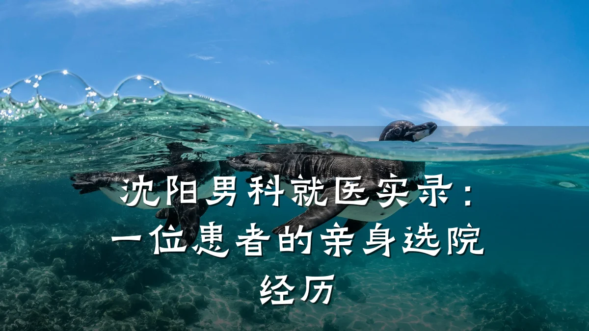 沈阳男科就医实录:一位患者的亲身选院经历