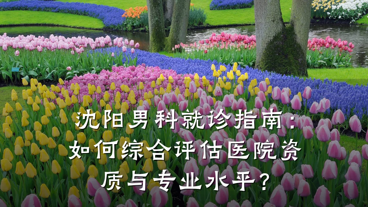 沈阳男科就诊指南:如何综合评估医院资质与专业水平?
