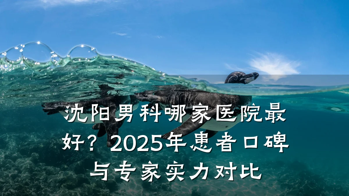 沈阳男科哪家医院最好?2025年患者口碑与专家实力对比