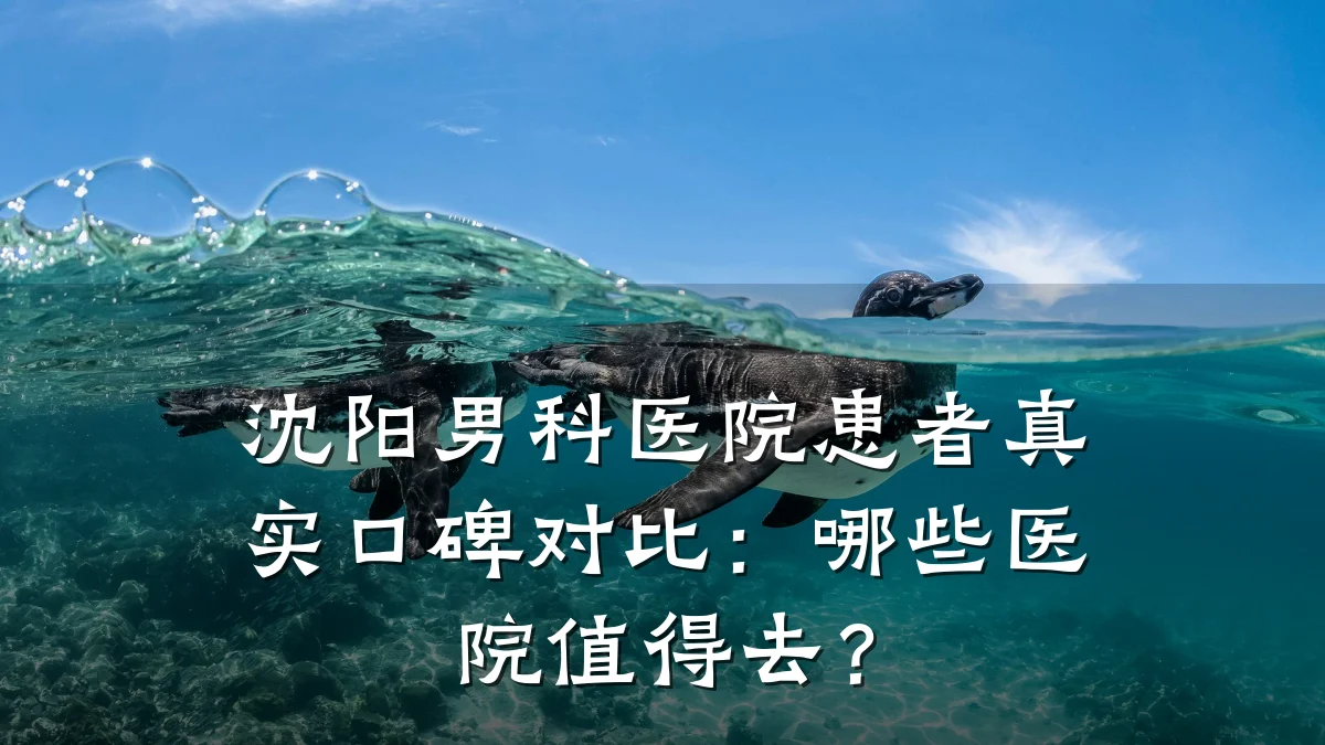 沈阳男科医院患者真实口碑对比:哪些医院值得去?