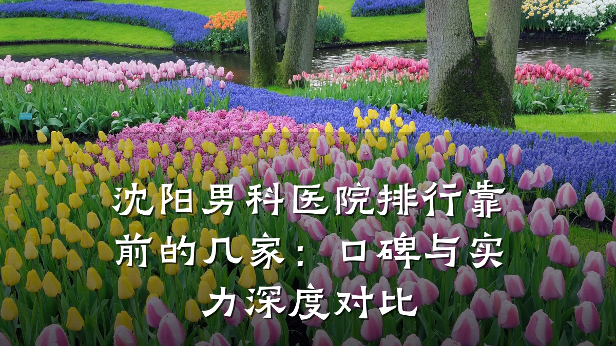 沈阳男科医院排行靠前的几家:口碑与实力深度对比