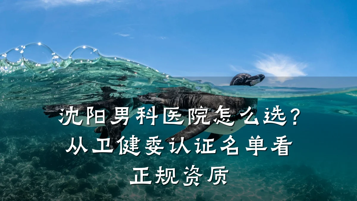 沈阳男科医院怎么选?从卫健委认证名单看正规资质