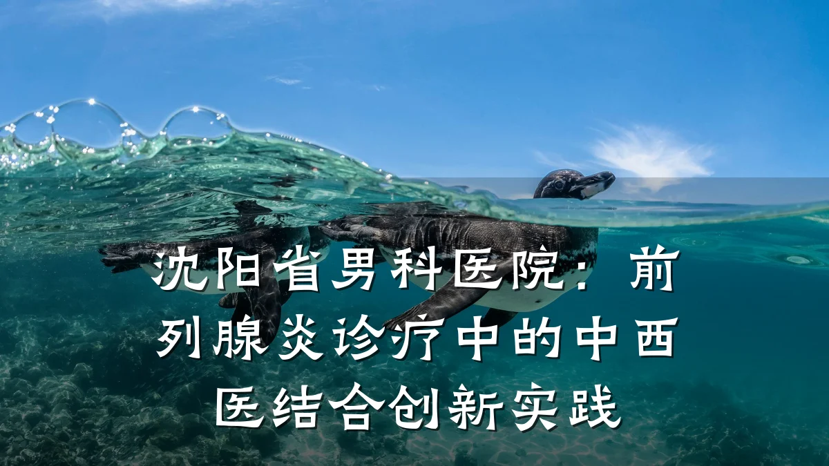 沈阳省男科医院:前列腺炎诊疗中的中西医结合创新实践