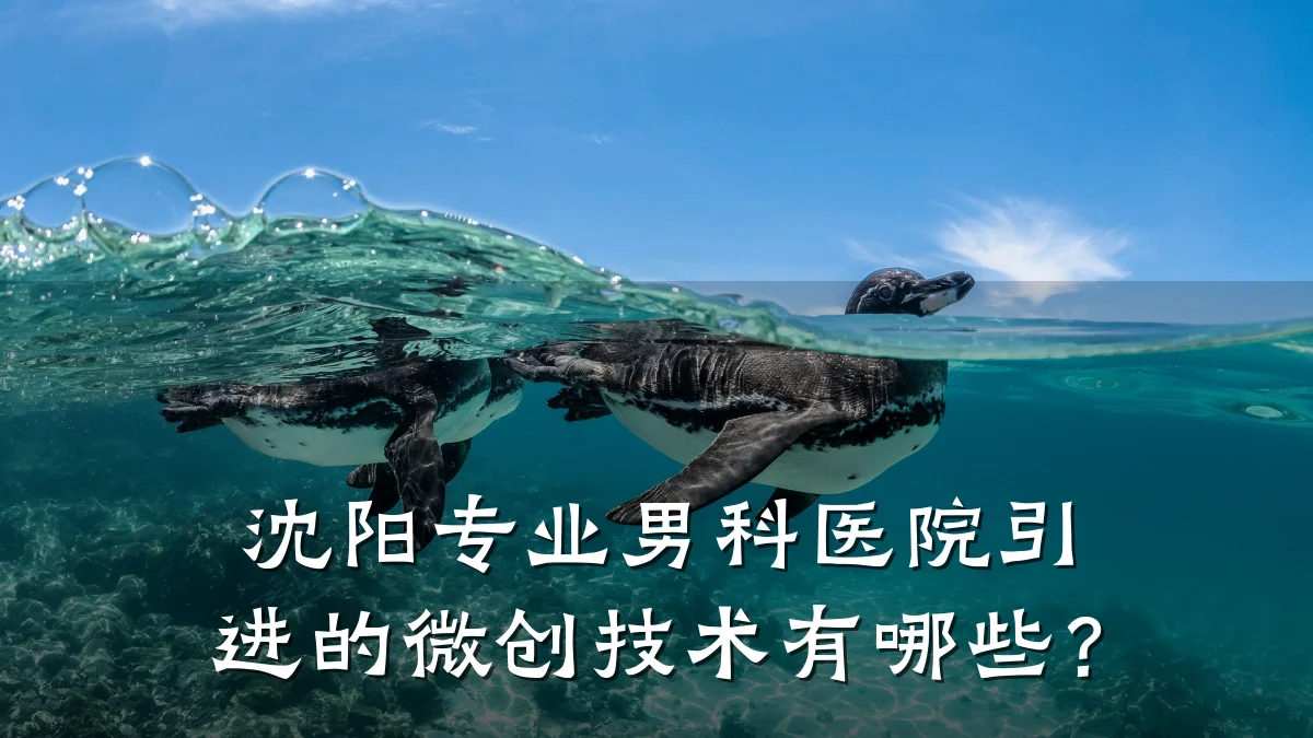 沈阳专业男科医院引进的微创技术有哪些?