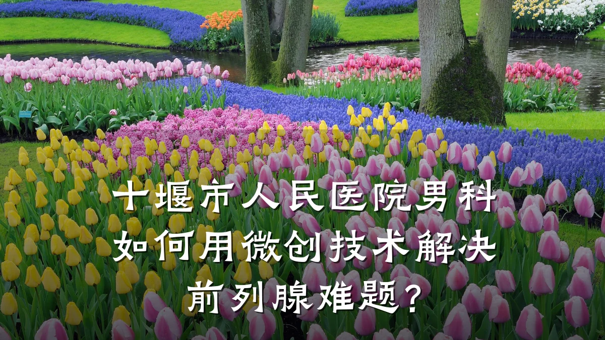 十堰市人民医院男科如何用微创技术解决前列腺难题?