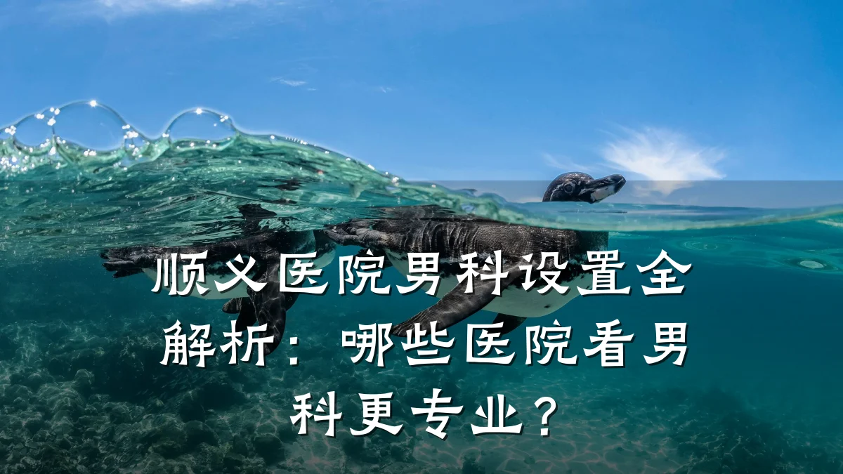 顺义医院男科设置全解析:哪些医院看男科更专业?