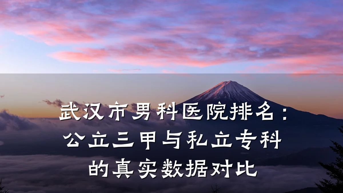 武汉市男科医院排名:公立三甲与私立专科的真实数据对比