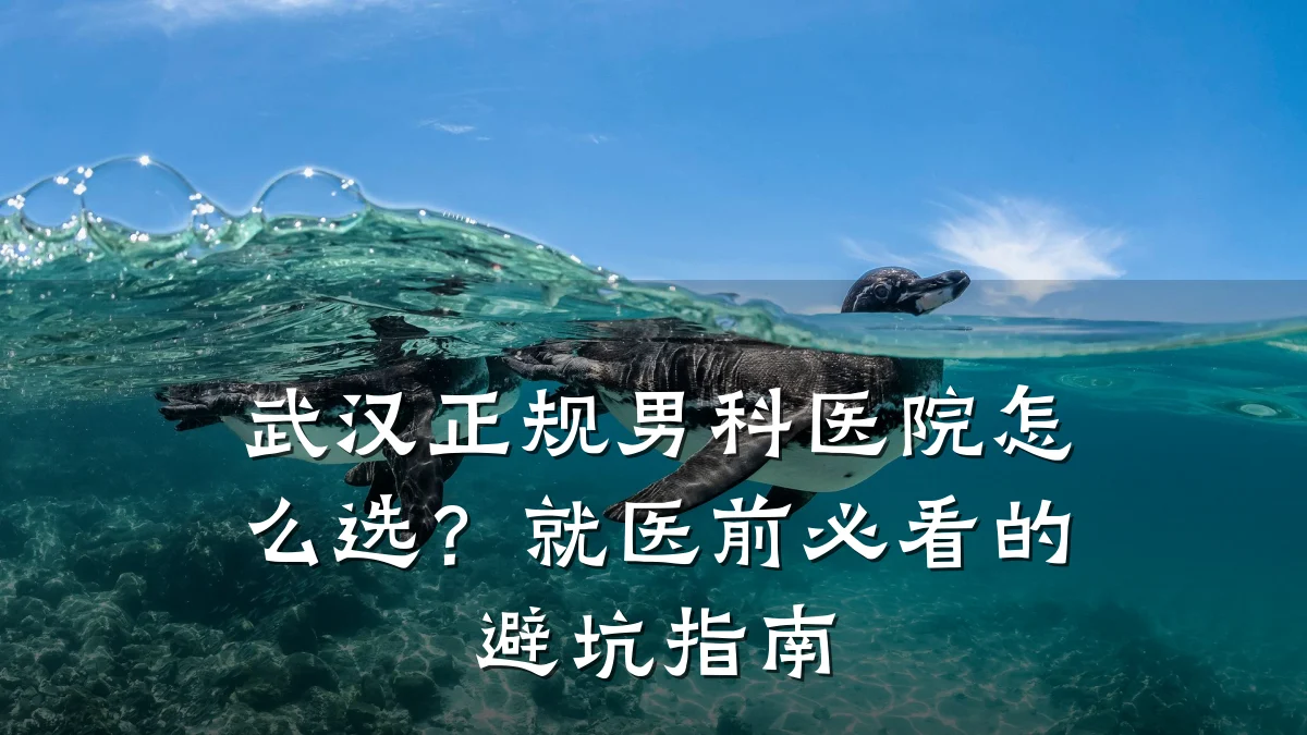 武汉正规男科医院怎么选?就医前必看的避坑指南