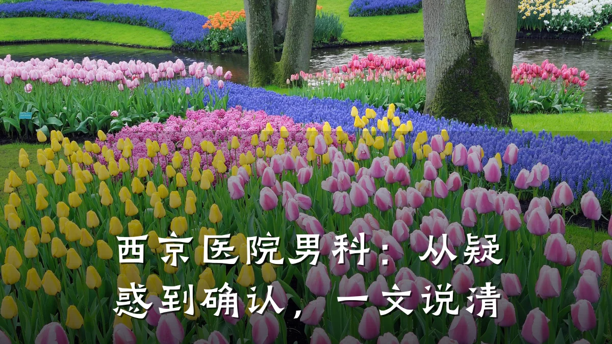 西京医院男科:从疑惑到确认,一文说清