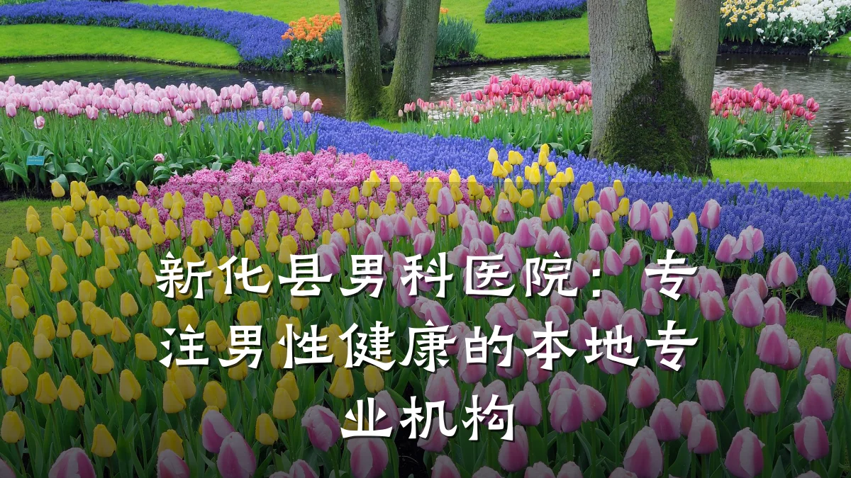 新化县男科医院:专注男性健康的本地专业机构